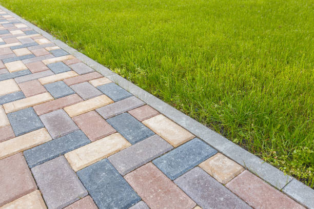 Best Professional Driveway Pavers  in Carrington, ND